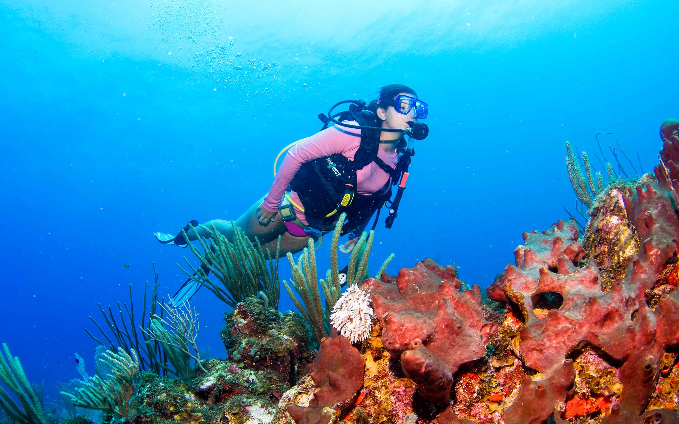 blue planet scuba happy hour