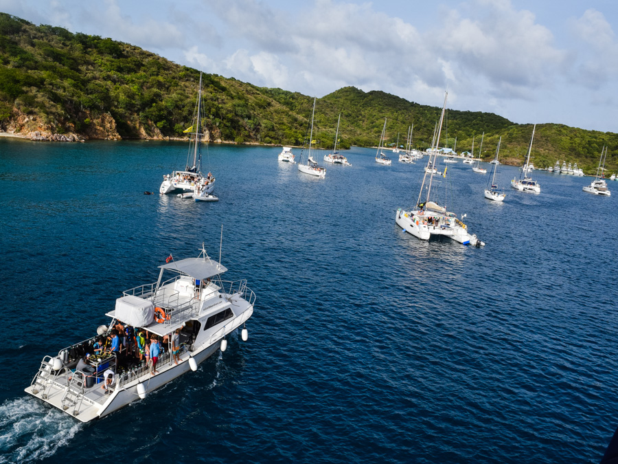 Dive With Us | Sail Caribbean