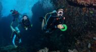 A group of scuba divers in a coral reef.